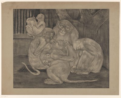 Five Monkeys in a Cage by Theo van Hoytema