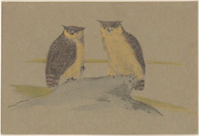 Greeting Card with Two Owls by Theo van Hoytema