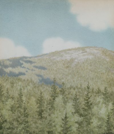 A Bird Flew There by Theodor Kittelsen