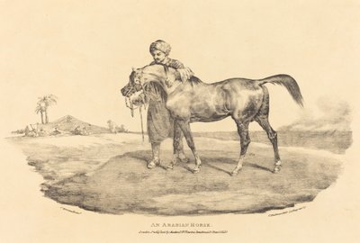 An Arabian Horse by Theodore Gericault