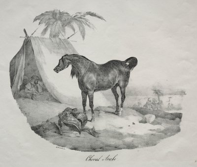 Arab Horse by Theodore Gericault