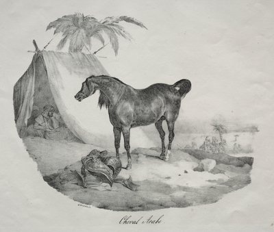 Arabian Horse by Theodore Gericault