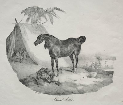 Arabian Horse by Theodore Gericault