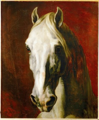 Head of a White Horse by Theodore Gericault