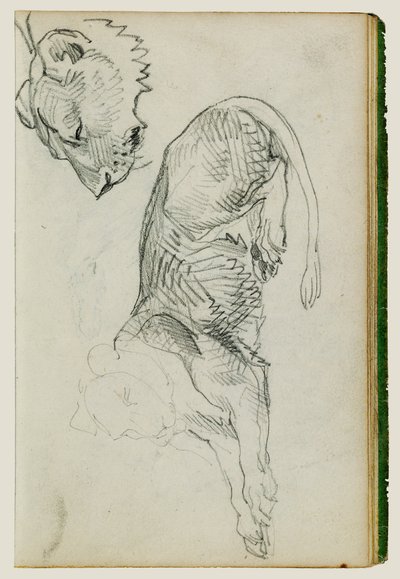 Seated lion, head of lioness by Theodore Gericault