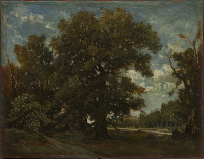 The Oak Tree by Theodore Rousseau