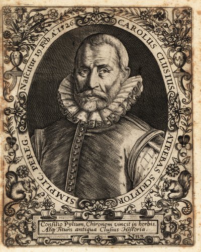 Charles de l’Ecluse, Physician, Botanist by Theodore de Bry