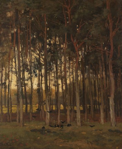 View in the Woods by Theophile de Bock