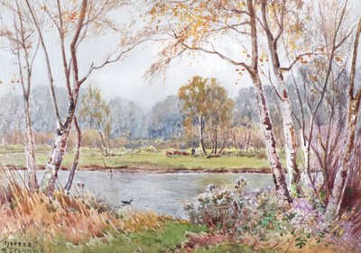 Sunny day on the Ouse by Theresa Sylvester Stannard