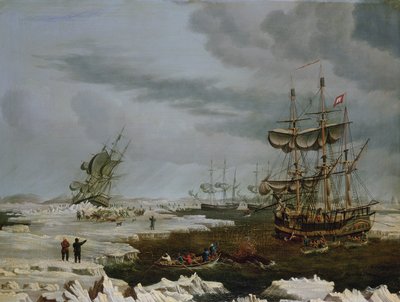 Hull Whalers in the Arctic by Thomas A. Binks