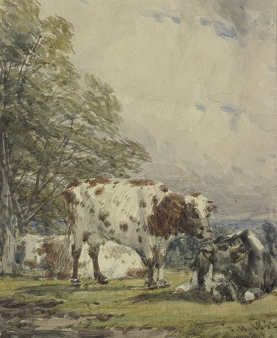 A Study of Cattle by Thomas Baker