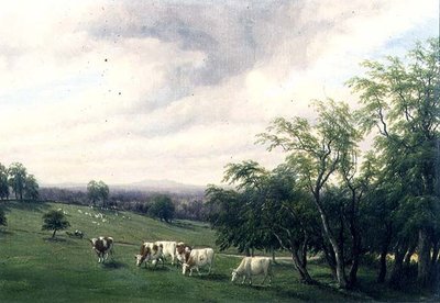 Cattle Grazing in Parkland by Thomas Baker