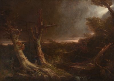 Tornado in an American Forest by Thomas Cole