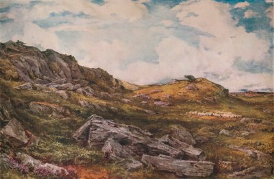 Blythburgh Common by Thomas Collier