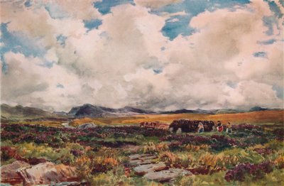 Stacking Peat, Festiniog, North Wales by Thomas Collier