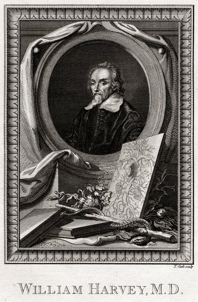 William Harvey by Thomas Cook