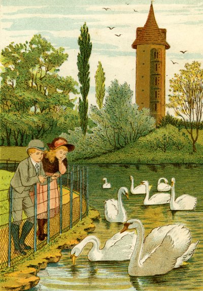 Paris Zoo - children watching swans by Thomas Crane