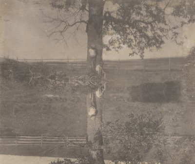 Crowell Children at Avondale, Pennsylvania by Thomas Eakins