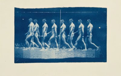 Marey Wheel Photographs of Jesse Godley by Thomas Eakins