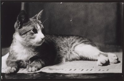 Mrs. Thomas Eakins
