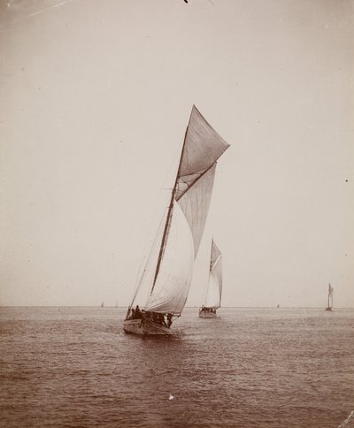 Sailboats by Thomas Eakins