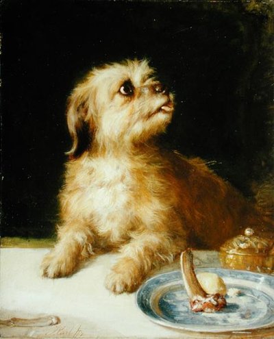 Norfolk Terrier by Thomas Earl