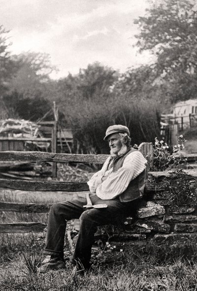 The Woodman by Thomas Fall