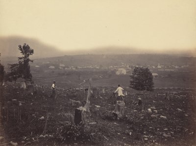 Waymart, Del. & Hudson Canal Co. by Thomas H. Johnson