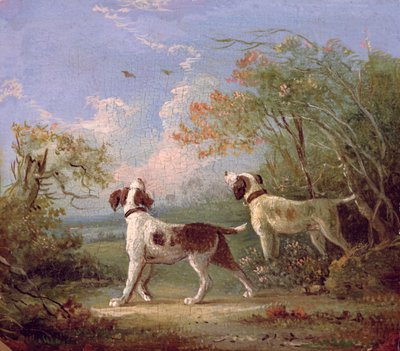 Spaniels in a Landscape by Thomas Hand