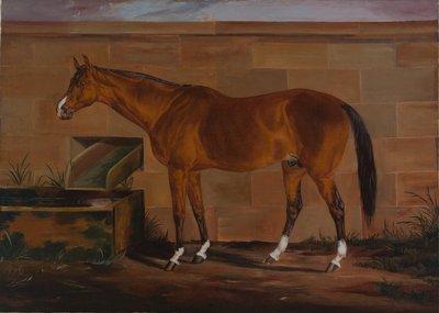 Portrait of Lexington by Thomas J. Scott