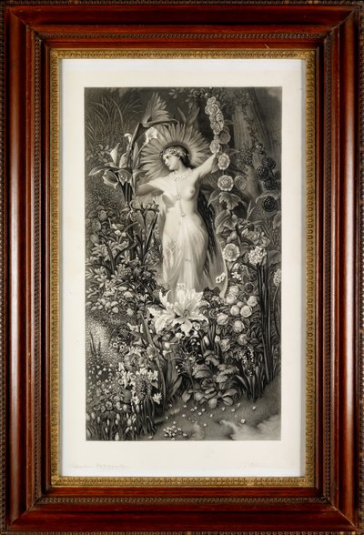 Flora by Thomas Lewis Atkinson