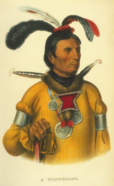 A Winnebago, 1854 by Thomas Loraine McKenney