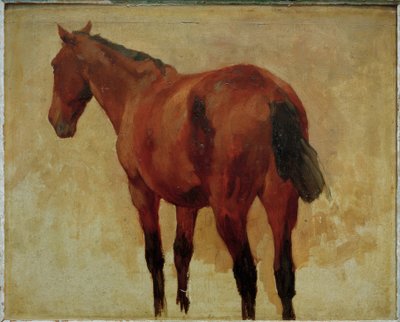 Horse Study by Thomas Ludwig Herbst