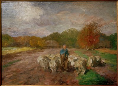 Flock of Sheep in Sunlight by Thomas Ludwig Herbst