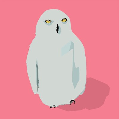 Owl by Thomas MacGregor