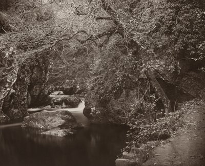 The Dargle Hole, c. 1865 by Thomas Marcus Brownrigg