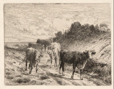 Cows by Thomas Moran