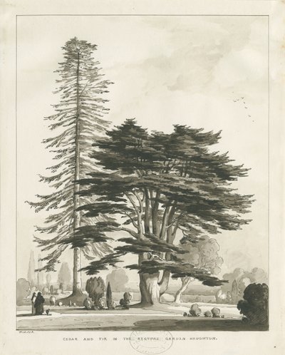 Haughton Rectory by Thomas Peploe Wood