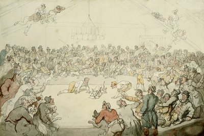 The Westminster Pitt, 1798 by Thomas Rowlandson