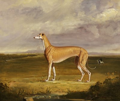 The Greyhound by Thomas W. Bretland