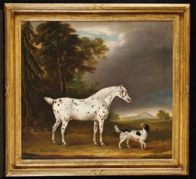 Appaloosa Horse and spaniel, 1807 by Thomas Weaver