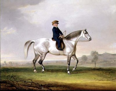 Master Edward Humphries on his Grey Pony by Thomas Weaver