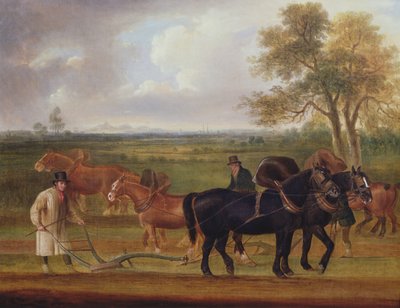 The Ploughing Match by Thomas Weaver