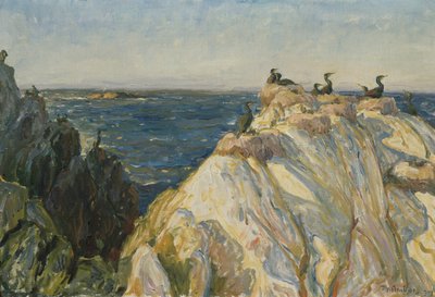Seabird by Thorolf Holmboe
