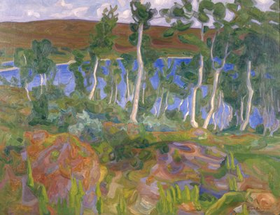 From Røros by Thorvald Erichsen