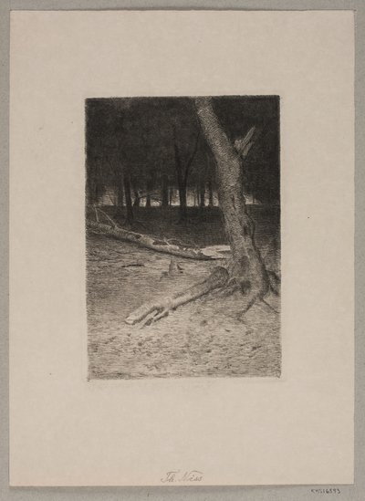 Forest Interior. Evening by Thorvald Niss
