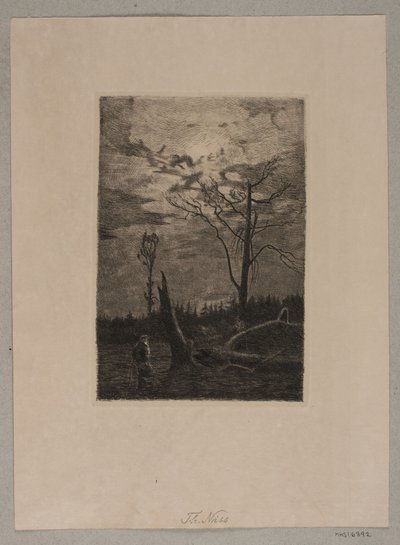 Forest Clearing. Evening by Thorvald Niss