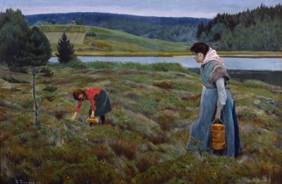 Picking cloudberry by Thorvald Torgersen