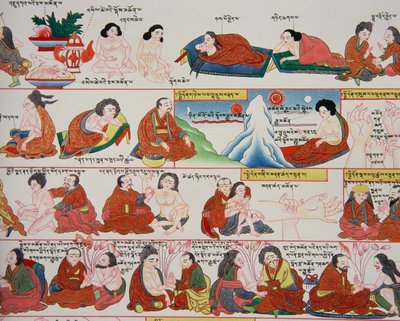 Manuscript on Tibetan Medicine (detail) by Tibetan School