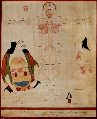 Manuscript showing the meridian points by Tibetan School